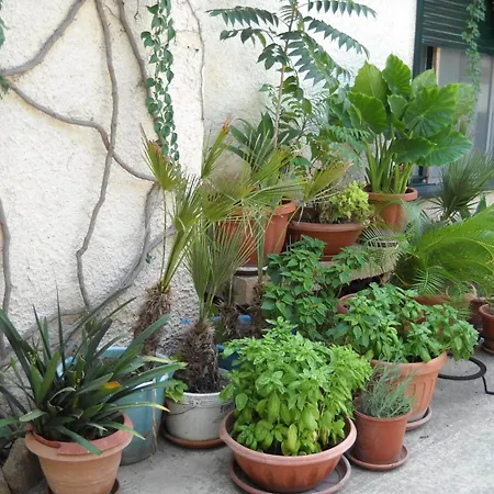 La Regina Di Adrano Sambuca di Sicilia