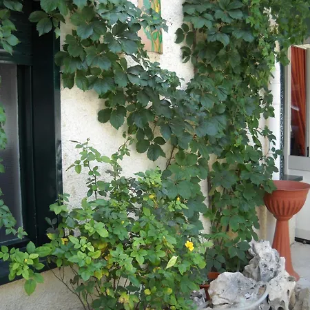 Oda ve Kahvaltı La Regina Di Adrano Sambuca di Sicilia