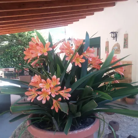 Oda ve Kahvaltı La Regina Di Adrano 3*